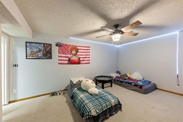 703 Ozark Short Line Court, Odessa, MO 64076