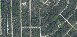 3292 Gossamer Avenue, Lake Placid, FL 33852