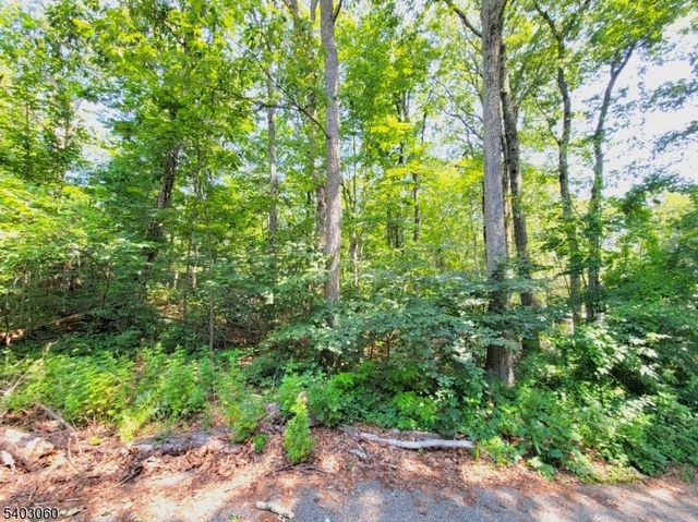 0 Kresson Rd, West Milford Twp., NJ 07421