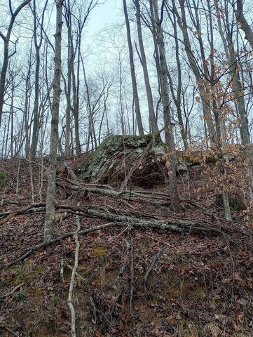 0 S Fork Road, Stanton, KY 40380