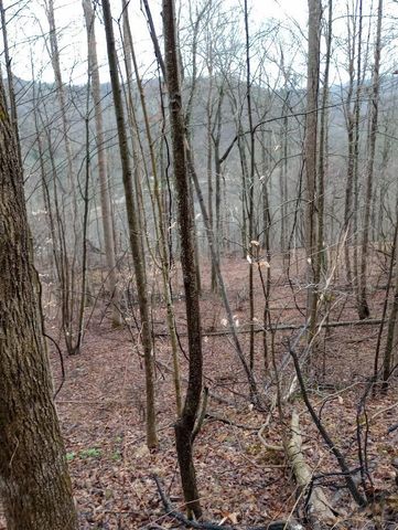 0 S Fork Road, Stanton, KY 40380