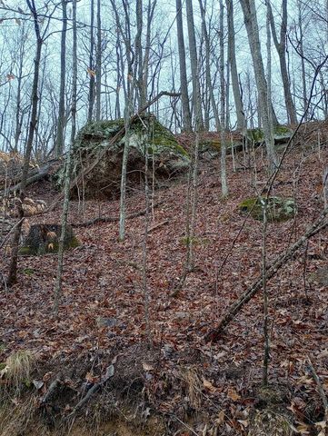0 S Fork Road, Stanton, KY 40380