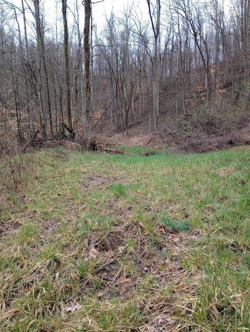 0 S Fork Road, Stanton, KY 40380