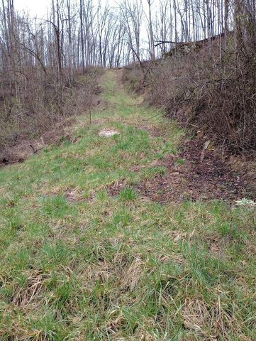 0 S Fork Road, Stanton, KY 40380