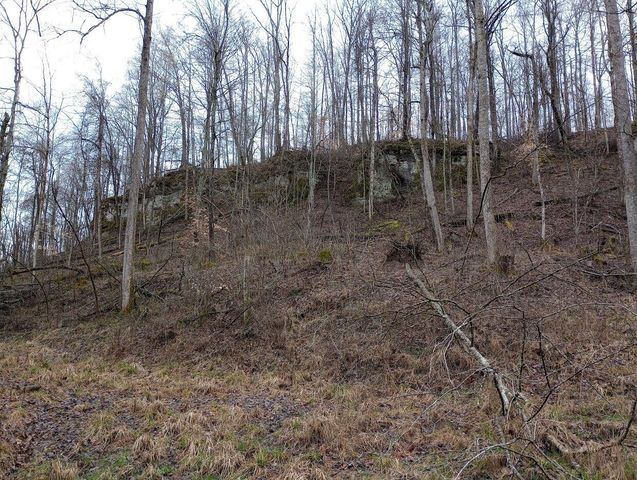 0 S Fork Road, Stanton, KY 40380