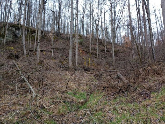 0 S Fork Road, Stanton, KY 40380
