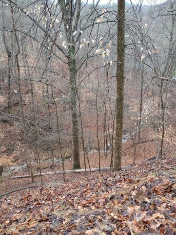 0 S Fork Road, Stanton, KY 40380