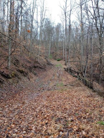 0 S Fork Road, Stanton, KY 40380