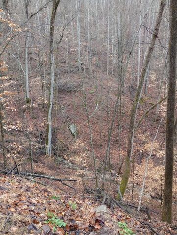 0 S Fork Road, Stanton, KY 40380