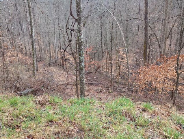 0 S Fork Road, Stanton, KY 40380