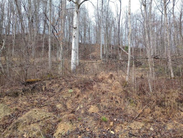0 S Fork Road, Stanton, KY 40380