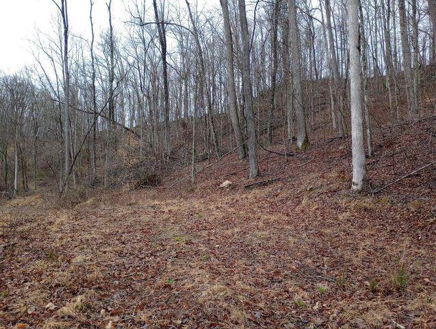 0 S Fork Road, Stanton, KY 40380