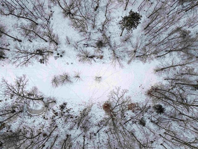 N4094 Whitney Road, Warrens,warrens, WI 54666