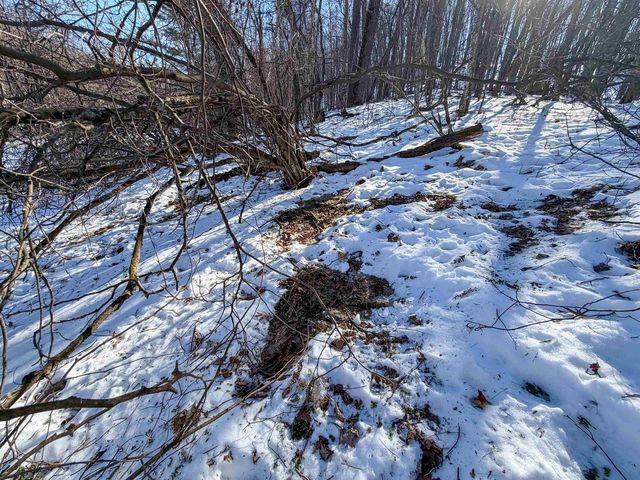 N4094 Whitney Road, Warrens,warrens, WI 54666