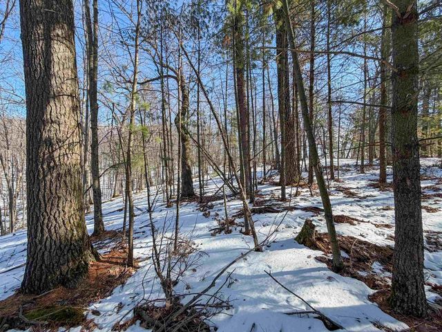 N4094 Whitney Road, Warrens,warrens, WI 54666