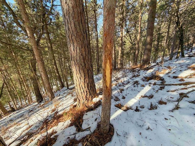 N4094 Whitney Road, Warrens,warrens, WI 54666