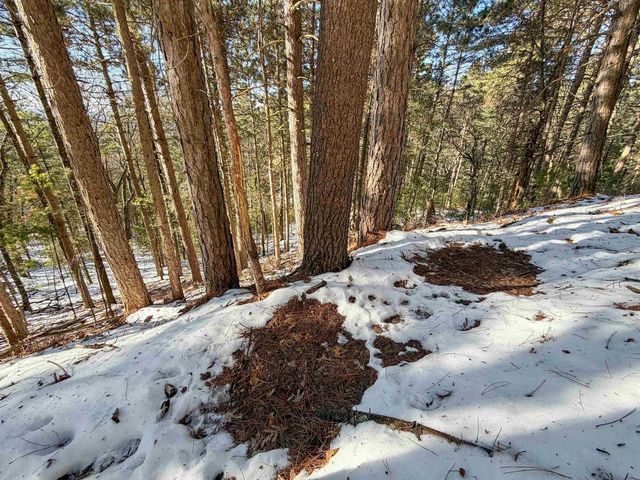 N4094 Whitney Road, Warrens,warrens, WI 54666