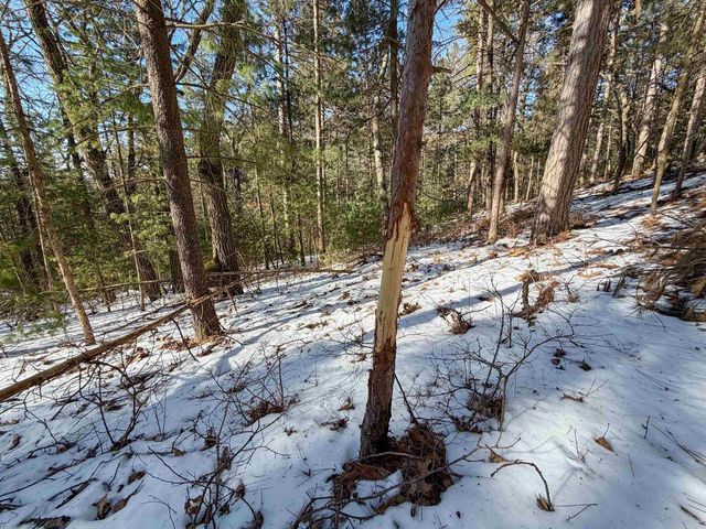 N4094 Whitney Road, Warrens,warrens, WI 54666