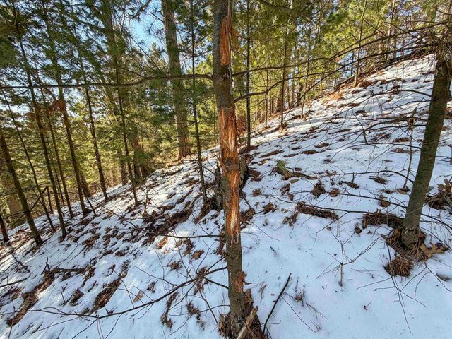 N4094 Whitney Road, Warrens,warrens, WI 54666