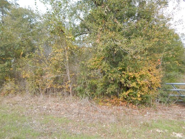 TBD Tx-30, Anderson, TX 77830