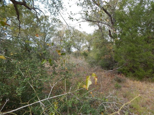 TBD Tx-30, Anderson, TX 77830