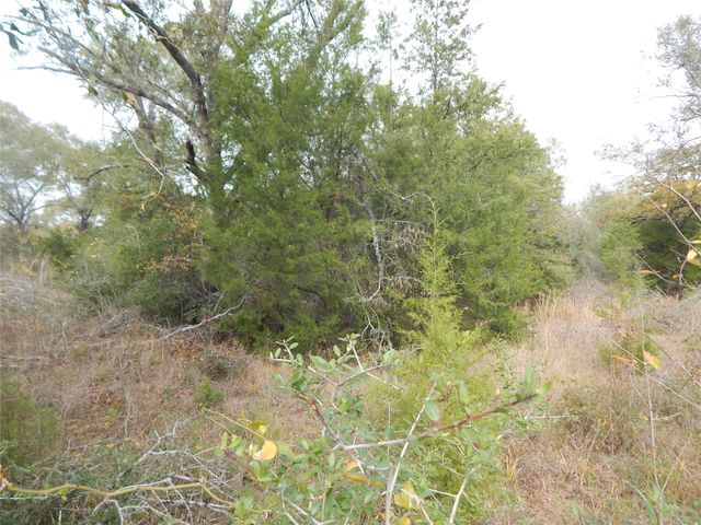 TBD Tx-30, Anderson, TX 77830