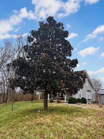 512 Brierly Ridge Road, Mount Olivet, KY 41064