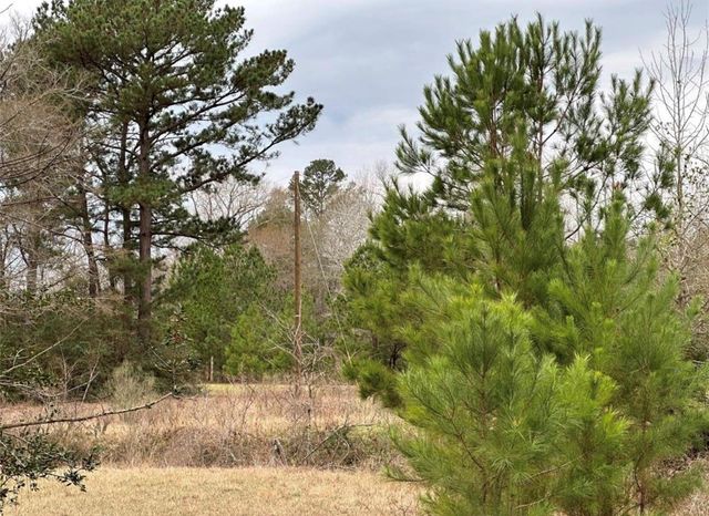 67 & 68 Nottoway Lane, Trinity, TX 75862