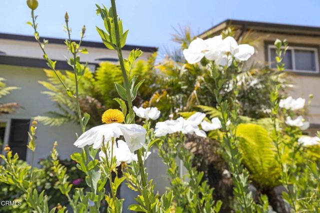 2036 Pierpont Boulevard, Ventura, CA 93001