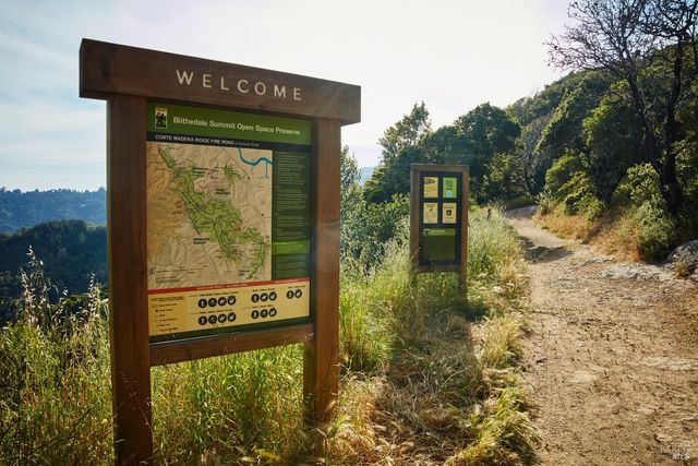 319 Golden Hind Psge, Corte Madera, CA 94925