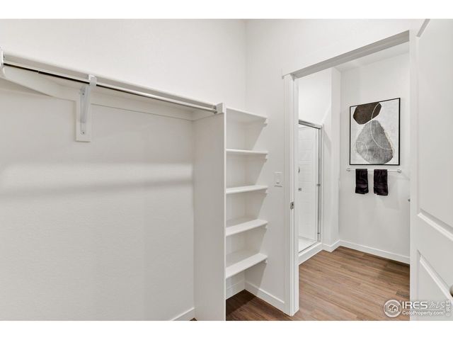 241 Haymaker Ln, Severance, CO 80550