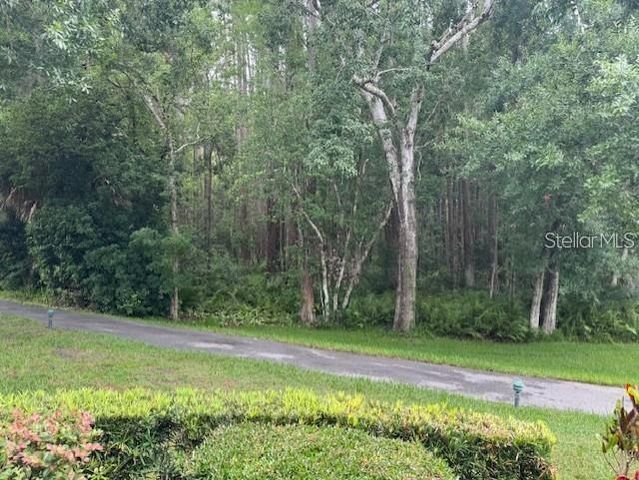 1258 PINE RIDGE CIRCLE W F1, Tarpon Springs, FL 34688