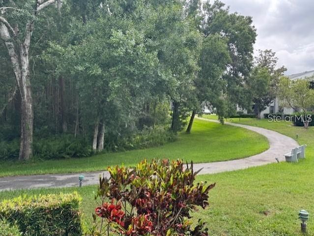 1258 PINE RIDGE CIRCLE W F1, Tarpon Springs, FL 34688