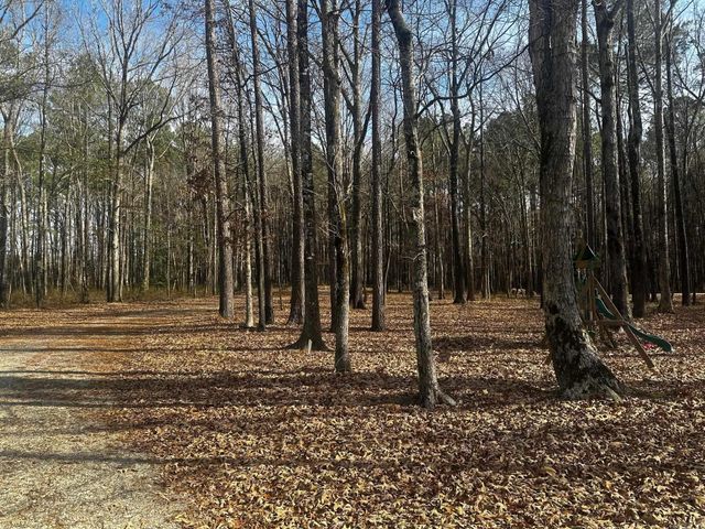 3908 Big Creek Rd, Pine Bluff, AR 71603