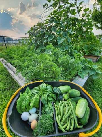 28260 120th Street NW, Zimmerman, MN 55398