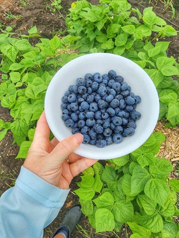 28260 120th Street NW, Zimmerman, MN 55398