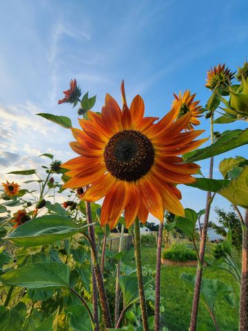 28260 120th Street NW, Zimmerman, MN 55398