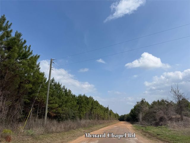 2 Menard Chapel Road, Livingston, TX 77351