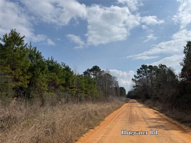 2 Menard Chapel Road, Livingston, TX 77351