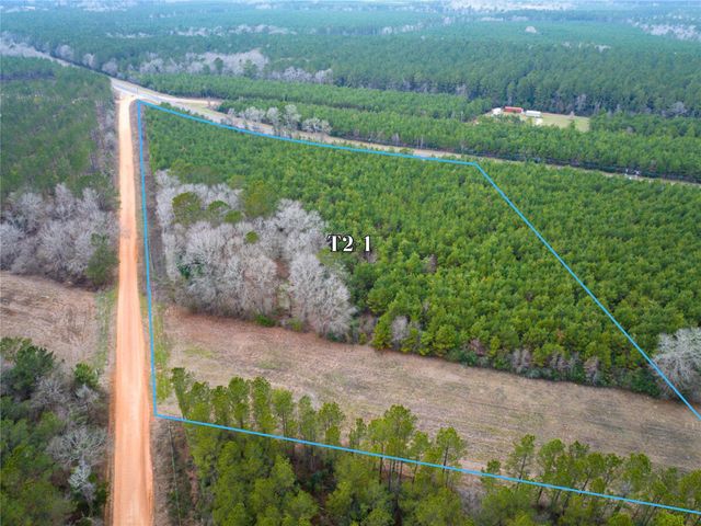 2 Menard Chapel Road, Livingston, TX 77351