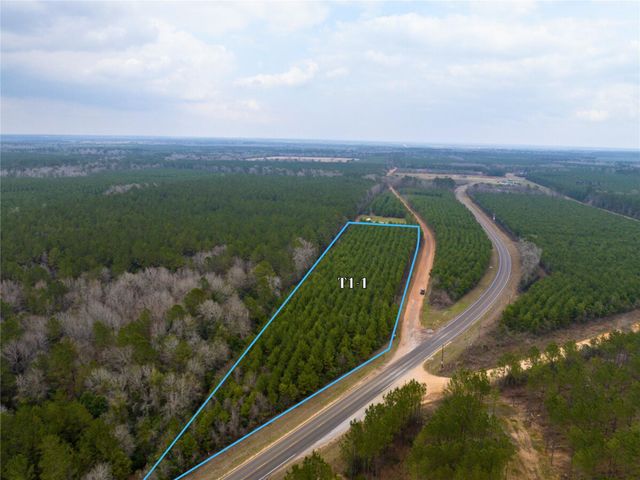 2 Menard Chapel Road, Livingston, TX 77351
