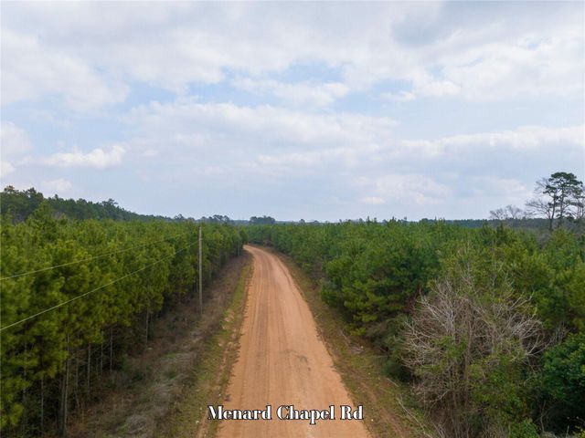 2 Menard Chapel Road, Livingston, TX 77351