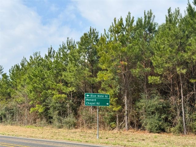 2 Menard Chapel Road, Livingston, TX 77351
