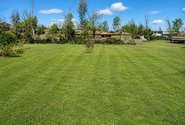 TBD Redbud Lane, Onalaska, TX 77360
