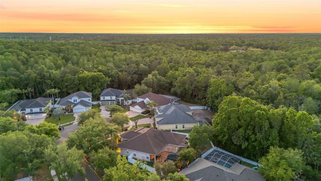 5106 ASHCREST COURT, Tampa, FL 33647