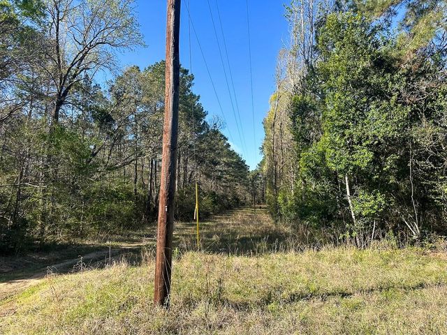 2 Highway 146, Livingston, TX 77351