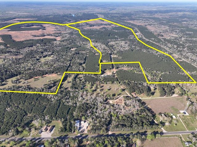 2 Highway 146, Livingston, TX 77351