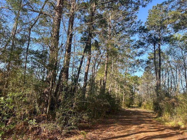 2 Highway 146, Livingston, TX 77351