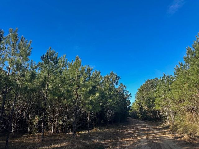 2 Highway 146, Livingston, TX 77351