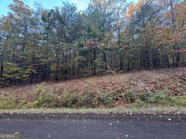 0 Black Bear Court, Ellijay, GA 30536